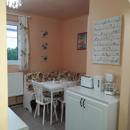 Cozy, 1-bedroom In Timisoara, Romania Apartment *