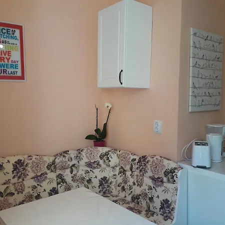Cozy, 1-bedroom In Timisoara, Romania * Timişoara