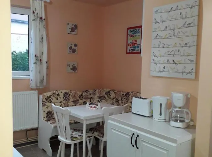 Cozy, 1-bedroom In Timisoara, Romania דירה *