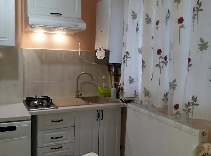 Appartement Cozy, 1-bedroom In Timisoara, Romania *