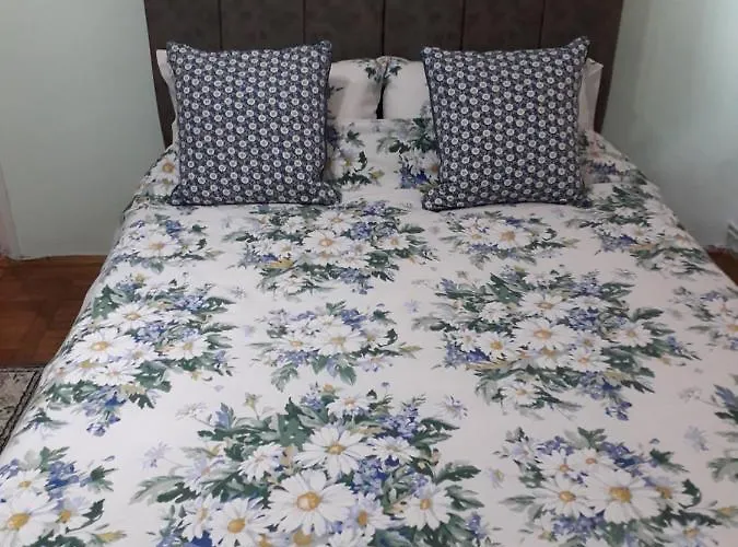 Cozy, 1-bedroom In Timisoara, Romania