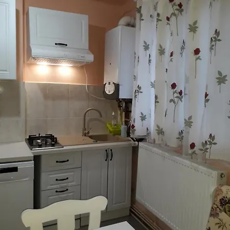 Апартаменты Cozy, 1-bedroom In Timisoara, Romania *